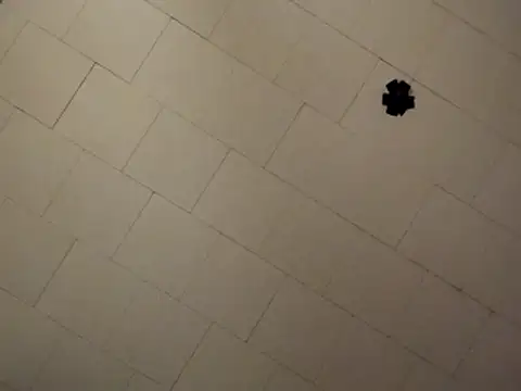 sterng6969 online show from 04-09-26, 08:09