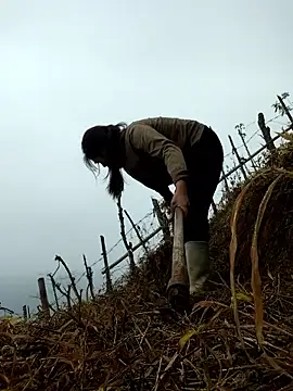 miumiu sexy2x online show from 04-01-26, 02:01