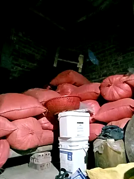 Diana-02 online show from 03-29-26, 12:16