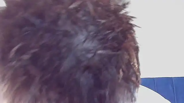 DrakeCarter online show from 02-26-26, 01:48