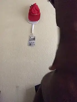 Sirbemine online show from 04-24-26, 11:23