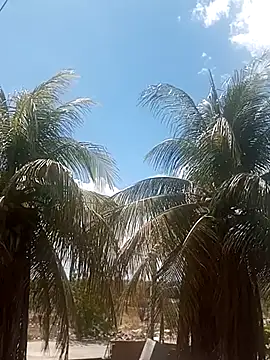  ---bucetuda    - online show from 01-16-26, 04:22