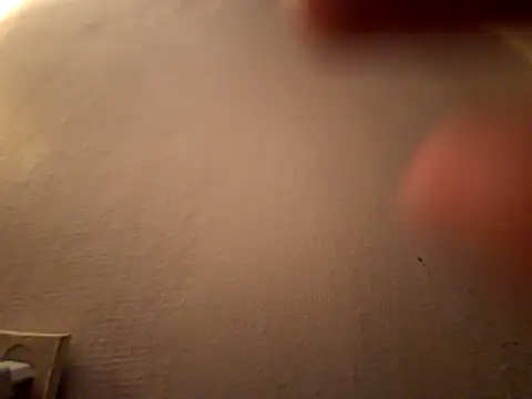 DanekBear online show from 04-14-26, 10:38