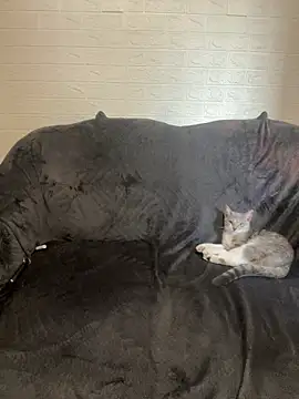 Snapshot of AlisRoxy chatting on 02-14-26, 02:14 AlisRoxy online show from 02-14-26, 02:14