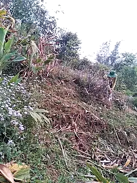 lia-coy online show from 04-15-26, 12:50