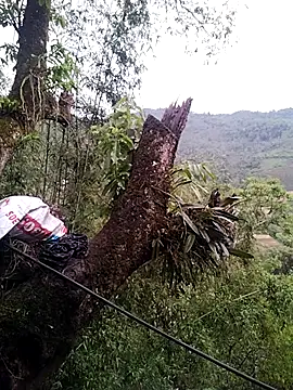 lia-coy online show from 04-19-26, 12:43