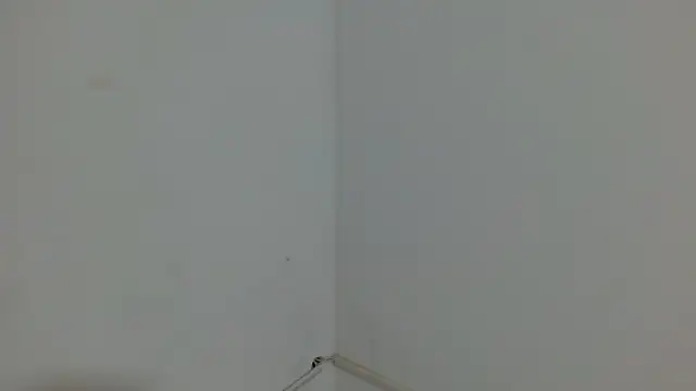 princess1609 online show from 03-04-26, 01:17