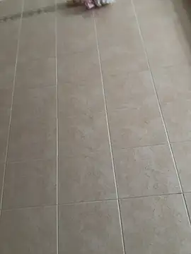 joy1334 online show from 02-09-26, 11:03