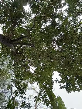 Snapshot of IceMur chatting on 02-23-26, 03:04 IceMur online show from 02-23-26, 03:04