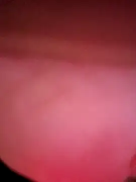 IndorsedTimid online show from 04-05-26, 11:46