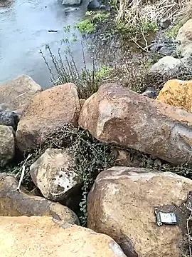 costt2 online show from 01-18-26, 11:03