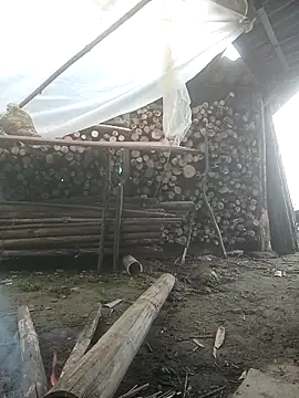 cutebobi online show from 02-03-26, 06:40