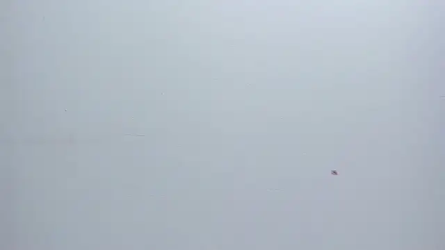 Melanie  Evans online show from 03-17-26, 10:51