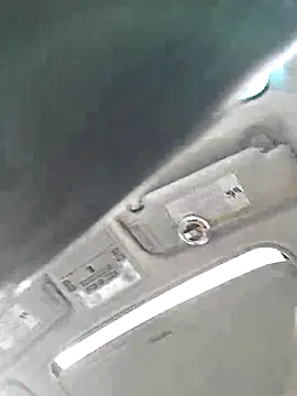 Sunflower0025 online show from 01-31-26, 07:11