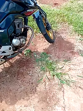 Snapshot of negrim10 chatting on 02-10-26, 12:31 negrim10 online show from 02-10-26, 12:31