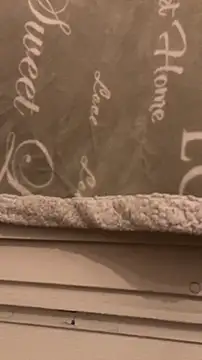 BadyAndShay5 online show from 03-22-26, 10:46