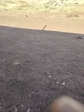 PrivateMeetX online show from 04-26-26, 03:59