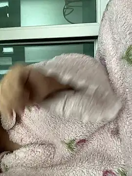 wjddjwjd online show from 02-06-26, 11:52