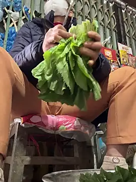 YANINA120 online show from 02-03-26, 02:53