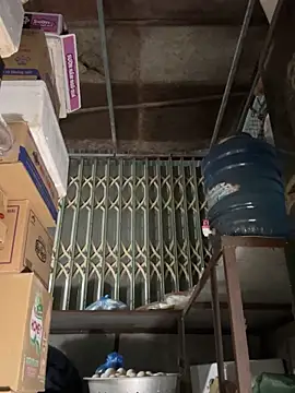 YANINA120 online show from 03-01-26, 10:50