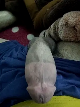 Snapshot of amirMohamed58 chatting on 02-23-26, 09:23 amirMohamed58 online show from 02-23-26, 09:23