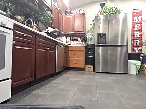 Snapshot of bischo666 chatting on 02-24-26, 02:20 bischo666 online show from 02-24-26, 02:20