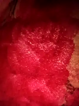 Snapshot of mehedi_hot chatting on 02-24-26, 05:22 mehedi hot online show from 02-24-26, 05:22