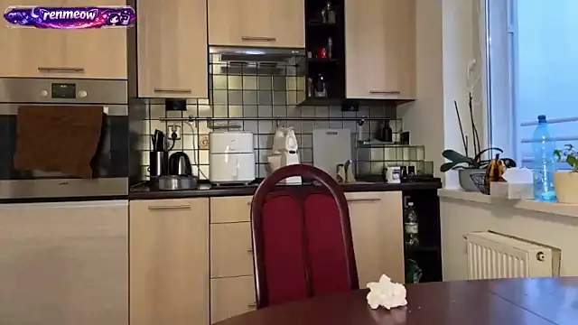 Snapshot of RenMeow chatting on 02-17-26, 04:13 RenMeow online show from 02-17-26, 04:13