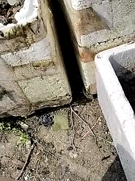 Snapshot of Queen-love45 chatting on 03-01-26, 03:41 Queen-love45 online show from 03-01-26, 03:41