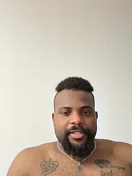 BigCatXLOfficial online show from 04-14-26, 07:20