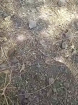 Cute Boy 4 online show from 03-15-26, 08:09