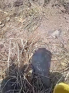 Cute Boy 4 online show from 03-20-26, 10:09