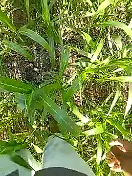 Cute Boy 4 online show from 04-13-26, 03:34