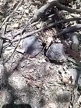 Cute Boy 4 online show from 04-15-26, 08:10