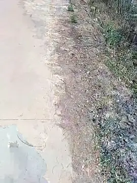 Snapshot of janu_9900 chatting on 02-18-26, 06:09 janu 9900 online show from 02-18-26, 06:09