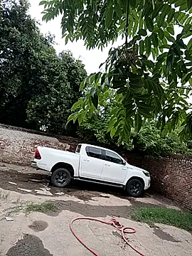 leo85rf online show from 02-05-26, 07:18