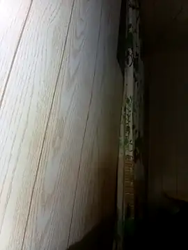 Snapshot of Prikev38452 chatting on 02-12-26, 07:36 Prikev38452 online show from 02-12-26, 07:36