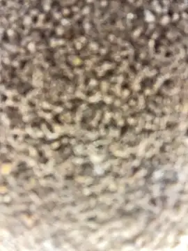 Snapshot of Namipeitudinha chatting on 02-16-26, 04:58 Namipeitudinha online show from 02-16-26, 04:58