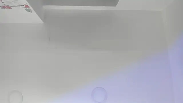 Paris Velvet online show from 03-18-26, 11:52