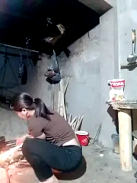 maimai1100 online show from 03-21-26, 09:51