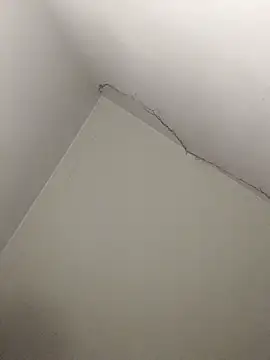 rubio009 online show from 03-25-26, 10:21