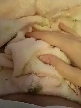 CutxeFrench online show from 03-02-26, 10:33