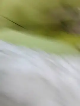 Snapshot of ONixCris chatting on 02-20-26, 05:24 ONixCris online show from 02-20-26, 05:24