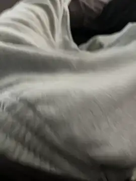 bugballs1 online show from 02-20-26, 11:38