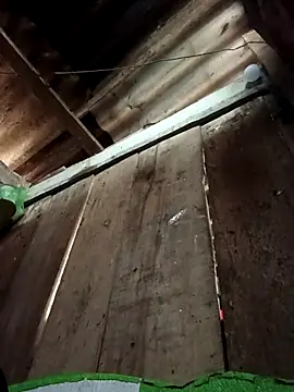 Snapshot of Small_flower1 chatting on 02-10-26, 02:04 Small flower1 online show from 02-10-26, 02:04