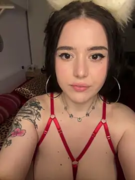 Venustrapp online show from 02-14-26, 02:47