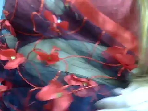 anvika 1709 online show from 02-10-26, 04:33