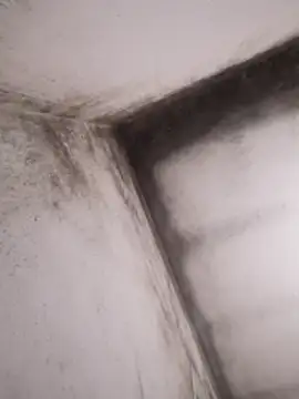 Snapshot of Lamich chatting on 02-13-26, 09:33 Lamich online show from 02-13-26, 09:33