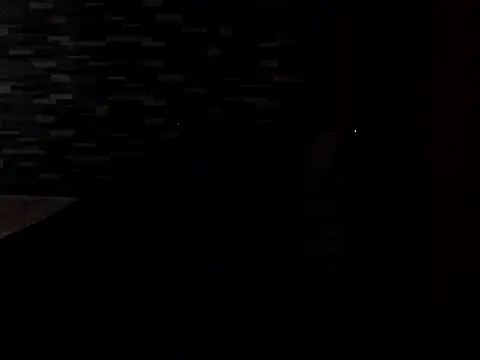 Snapshot of PennyUni chatting on 02-13-26, 01:23 PennyUni online show from 02-13-26, 01:23