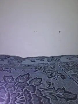 Sakeemaxxy online show from 04-13-26, 09:09